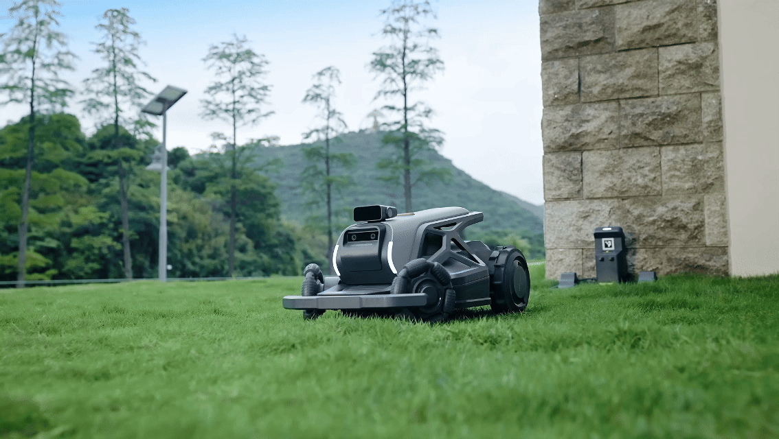 Oasis At Your Command: