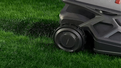 Natural Fertilizer, Healthier Lawn